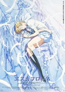 Ver Escaflowne