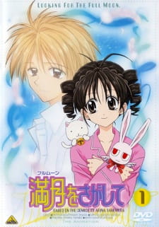 Ver Full Moon wo Sagashite