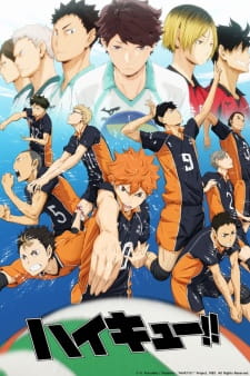 Ver Haikyuu!!