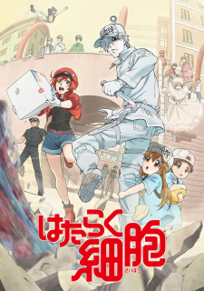 Ver Hataraku Saibou!!