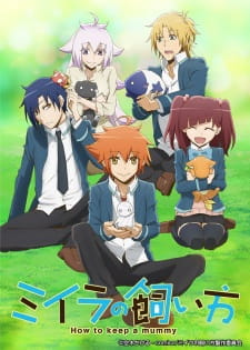 Ver Miira no Kaikata