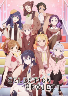 Ver Selection Project