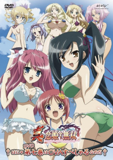 Ver Shin Koihime†Musou: Gunyuu, Minami no Shima de Bakansu wo Suru no Koto - Ato, Porori mo Aru yo!