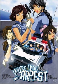 Ver Taiho Shichau zo Special