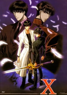 Ver X